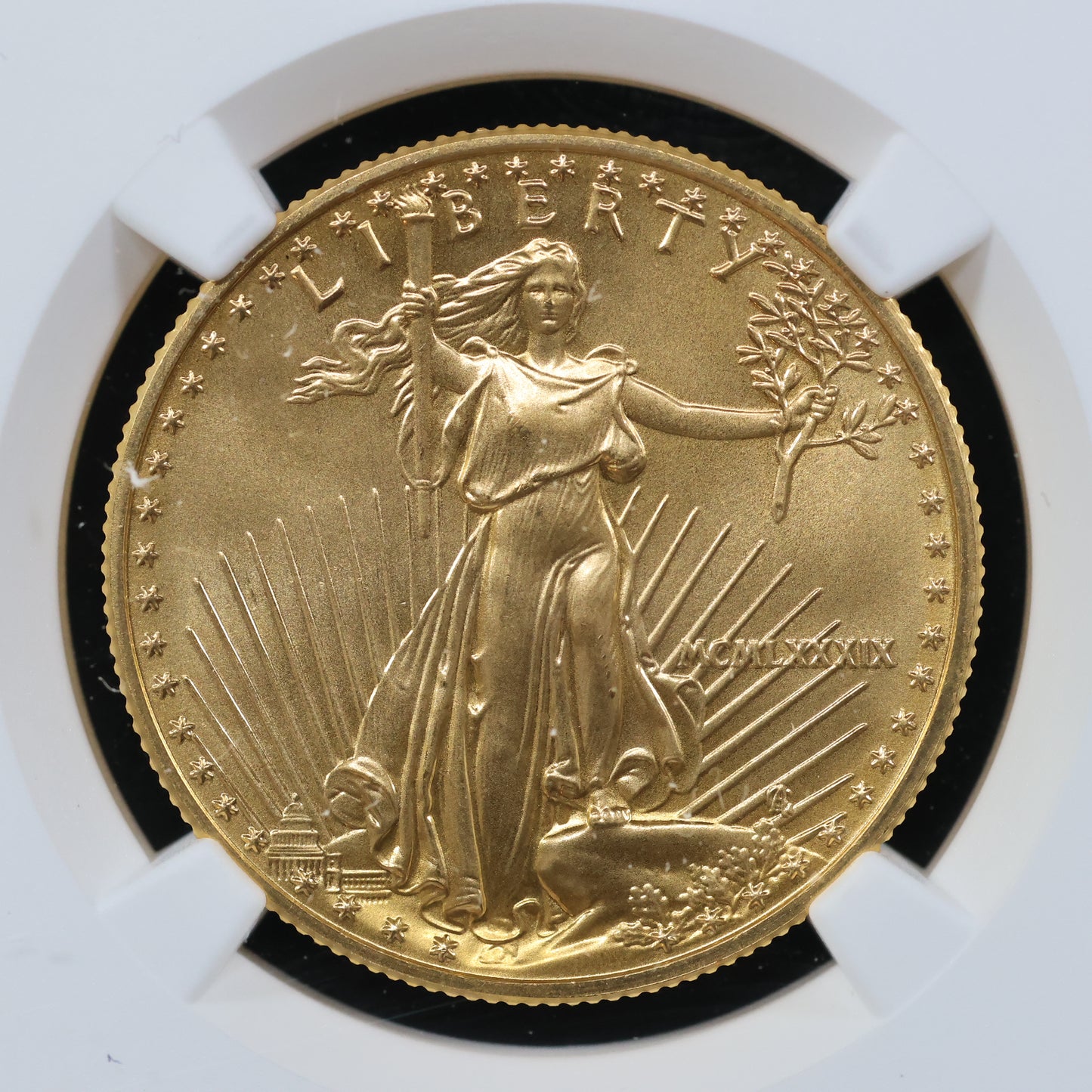 1989 1/2 oz Gold American Eagle 25$ Bullion Gold Coin - NGC MS 69