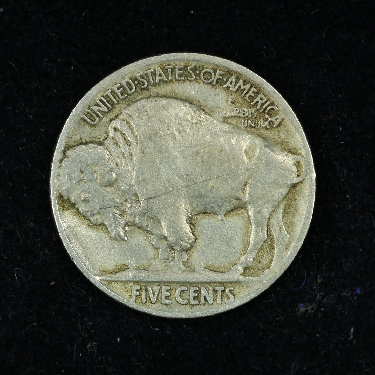 1919 Buffalo Nickel 5c