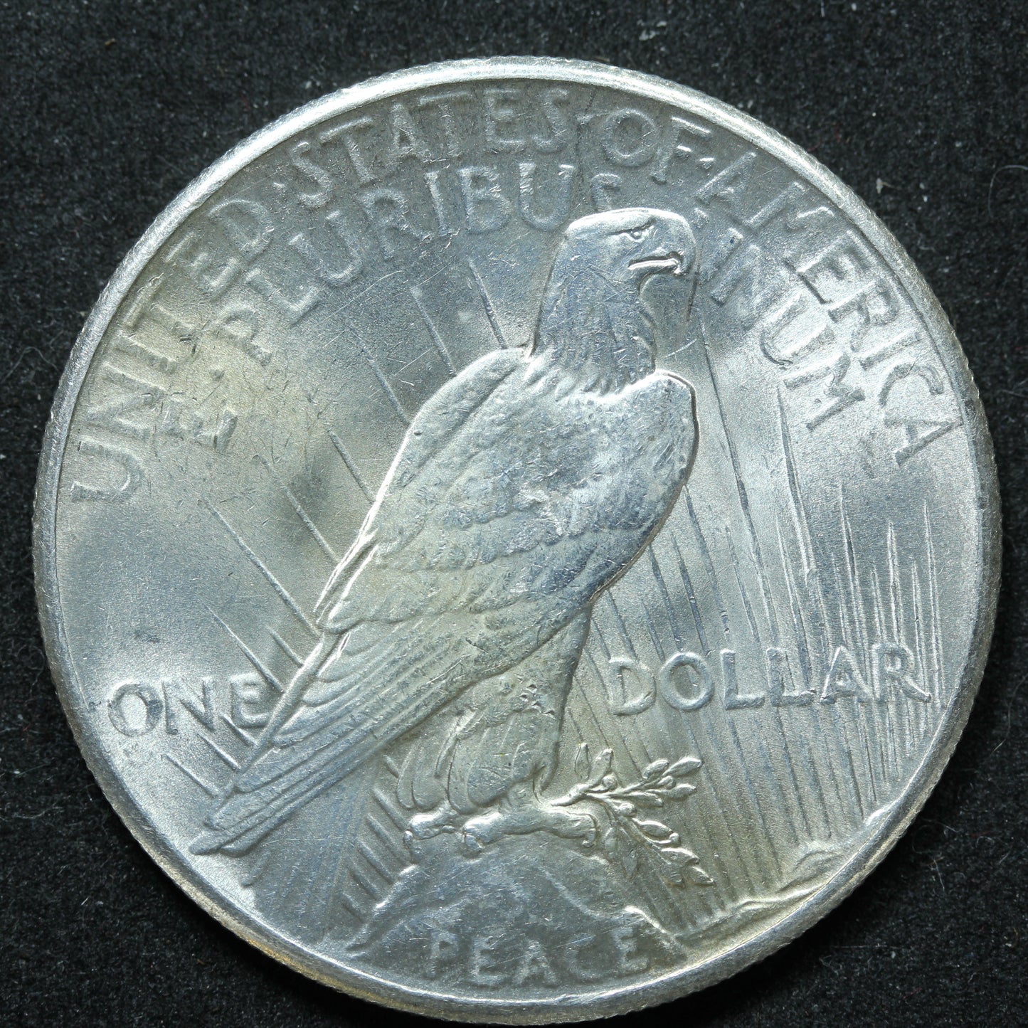 1928 Philadelphia Peace Dollar - Nice Coin!