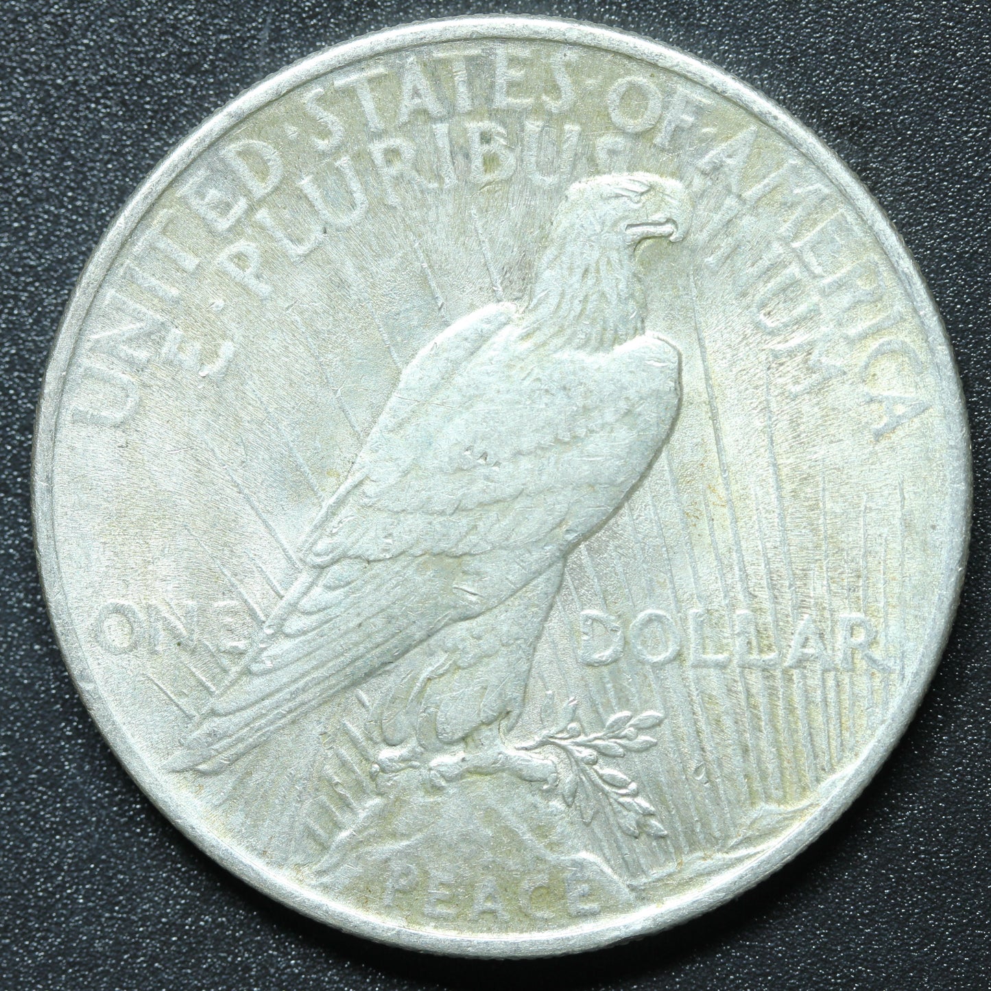 1924 Peace Dollar - Silver - Philadelphia
