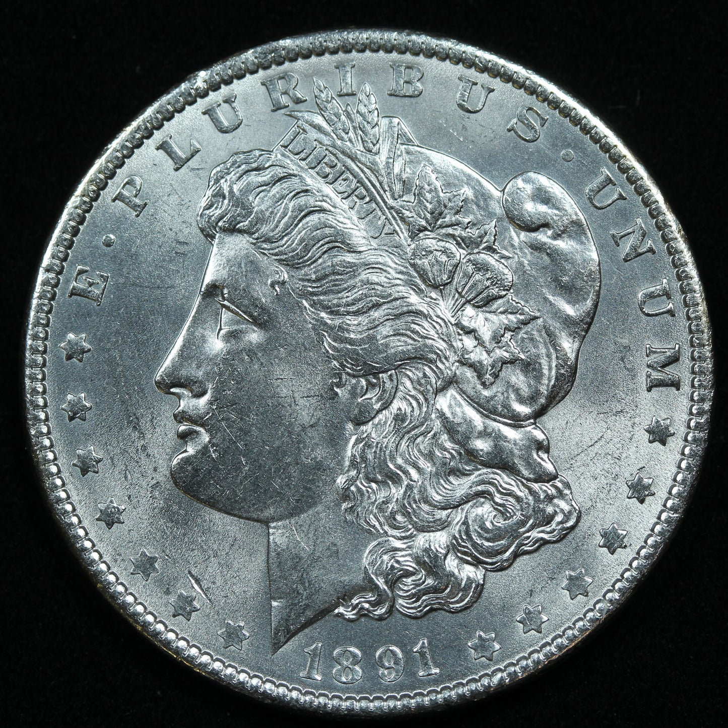 1891 (Philadelphia) Morgan Silver Dollar 90% Silver - Beautiful!