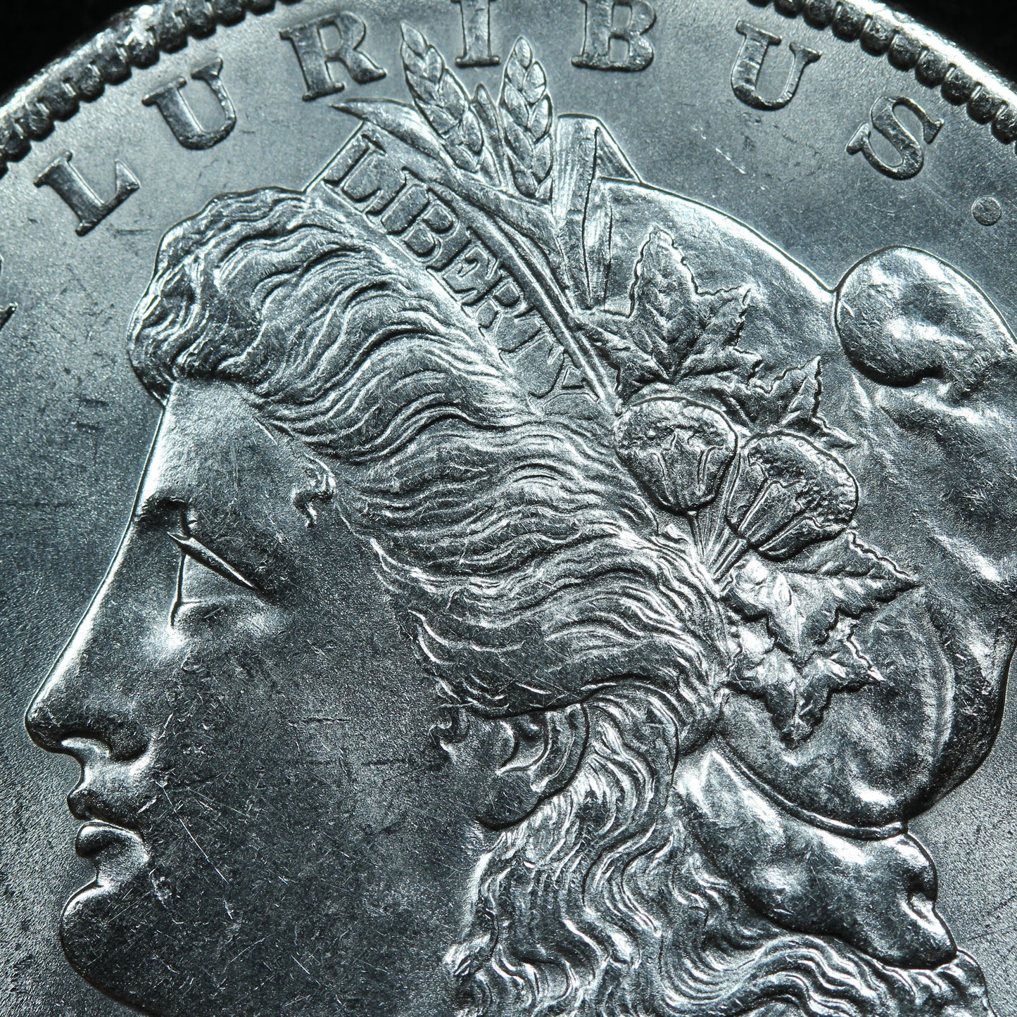 1891 (Philadelphia) Morgan Silver Dollar 90% Silver - Beautiful!