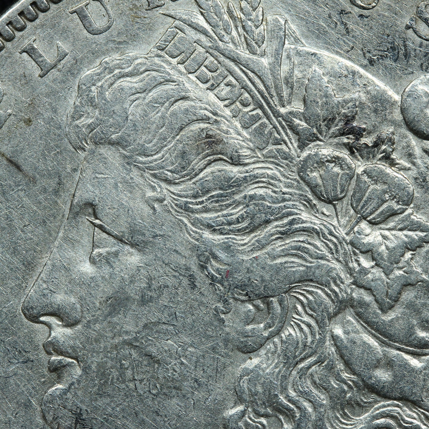 1879 (Philadelphia) Morgan Silver Dollar