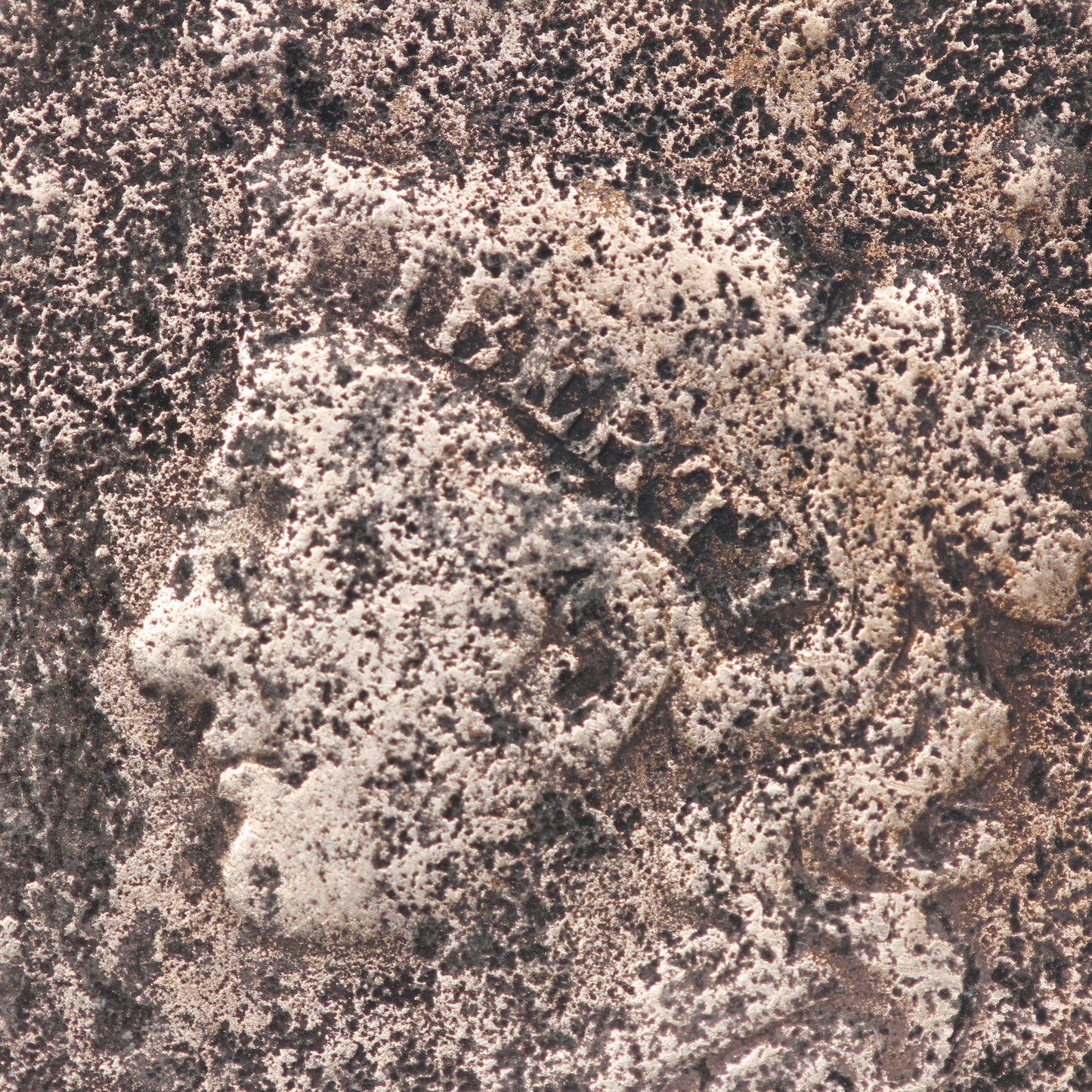 1837 Large Cent Coronet Head 1C