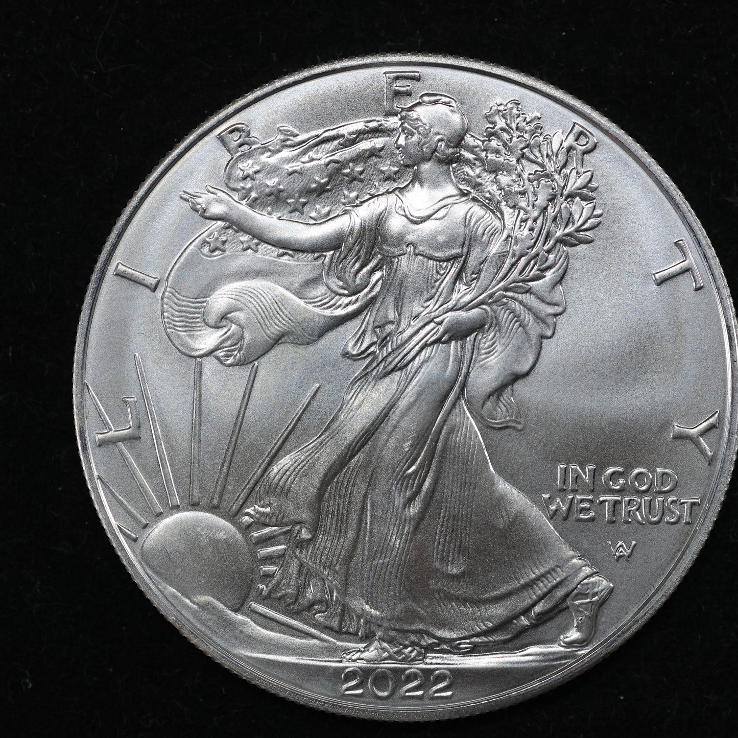 2022 American Silver Eagle $1 .999 Fine Silver Coin Marks/Spots