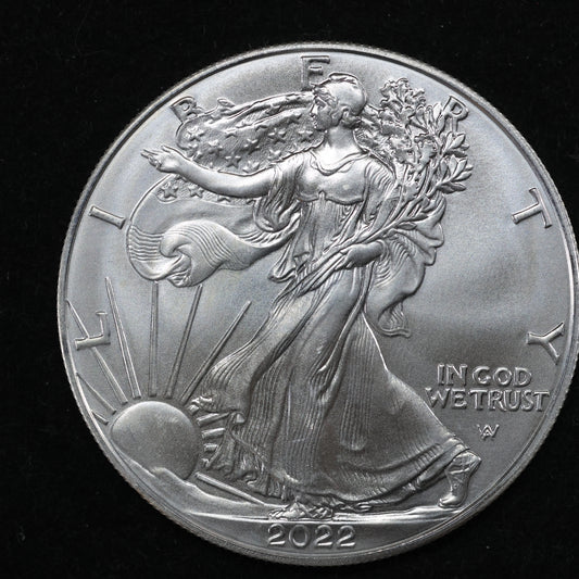 2022 American Silver Eagle $1 .999 Fine Silver Coin Marks/Spots