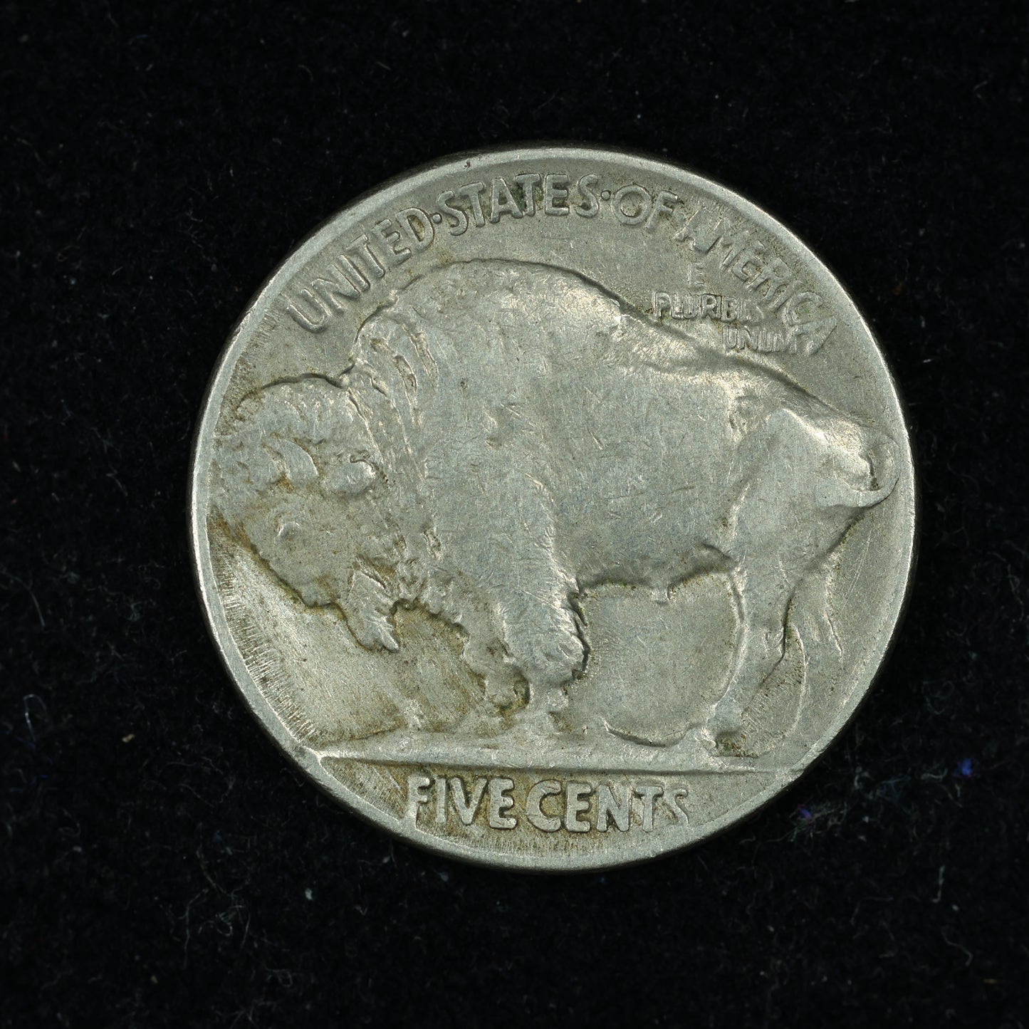 1920 Buffalo Nickel 5c
