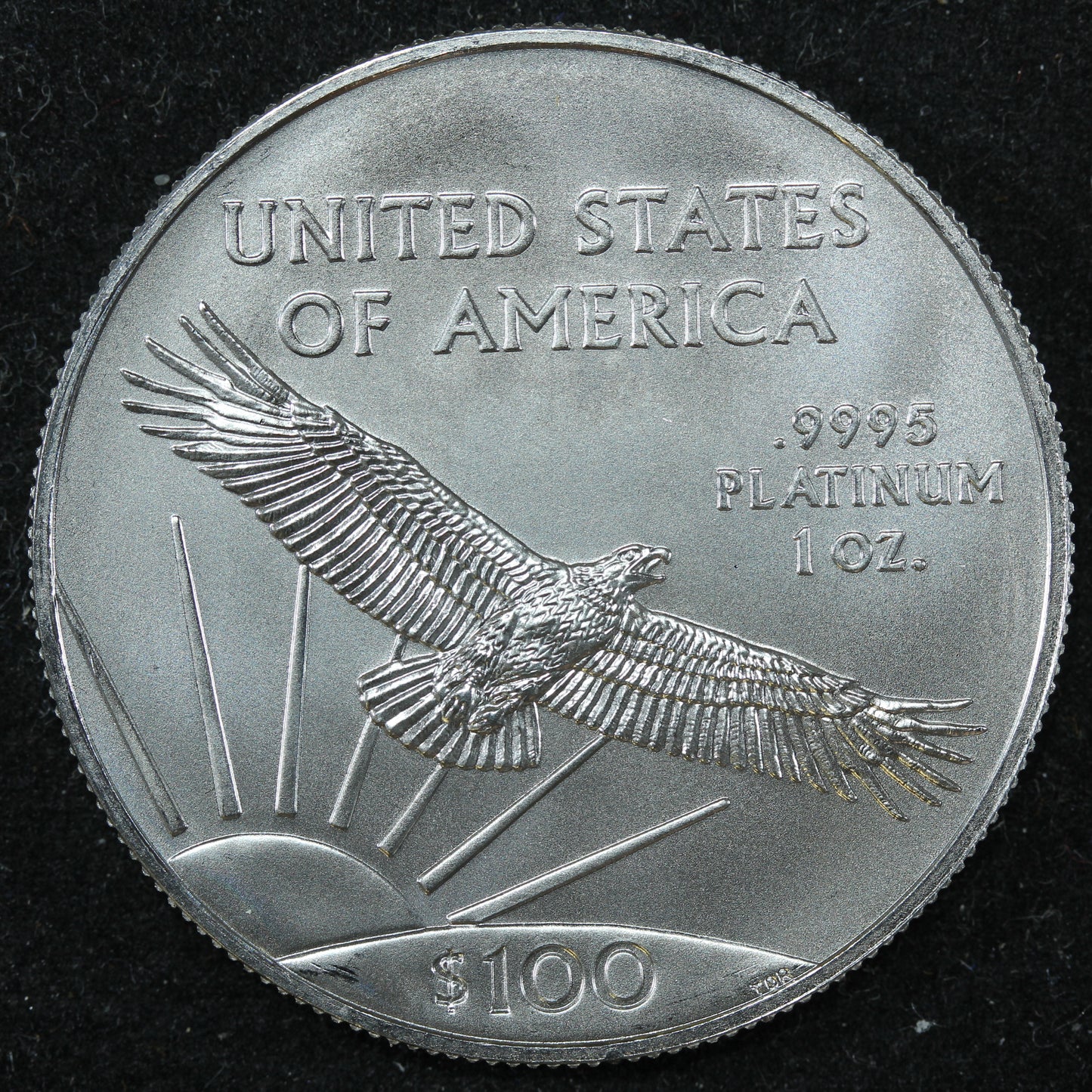 2022 1 oz $100 Platinum American Eagle Bullion Coin - Great Condition