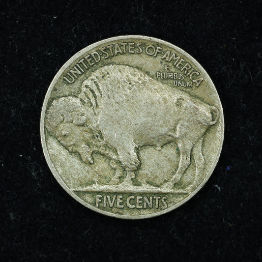 1913 Buffalo 5c Liberty Nickel Variety 2