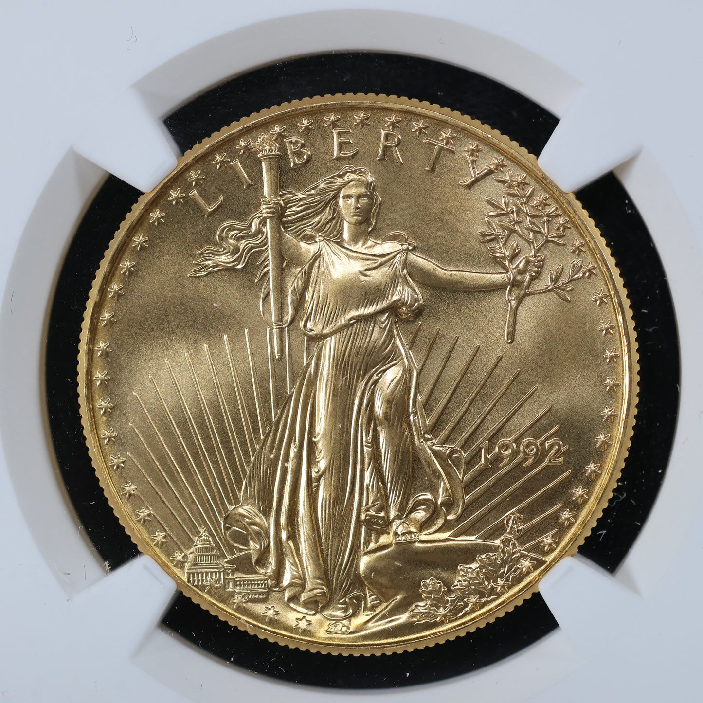 1992 1 oz Gold American Eagle 50$ Bullion Gold Coin - NGC MS 69