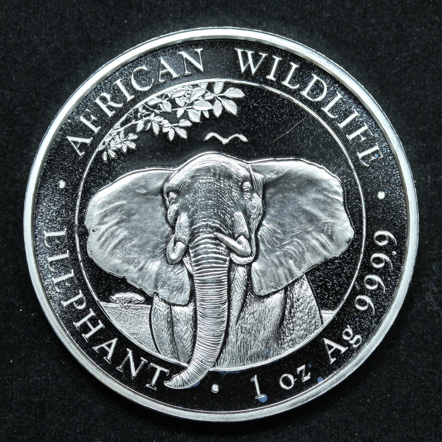 2021 1 oz .9999 Fine Somalia 100 Shillings African Wildlife Elephant w/ Capsule
