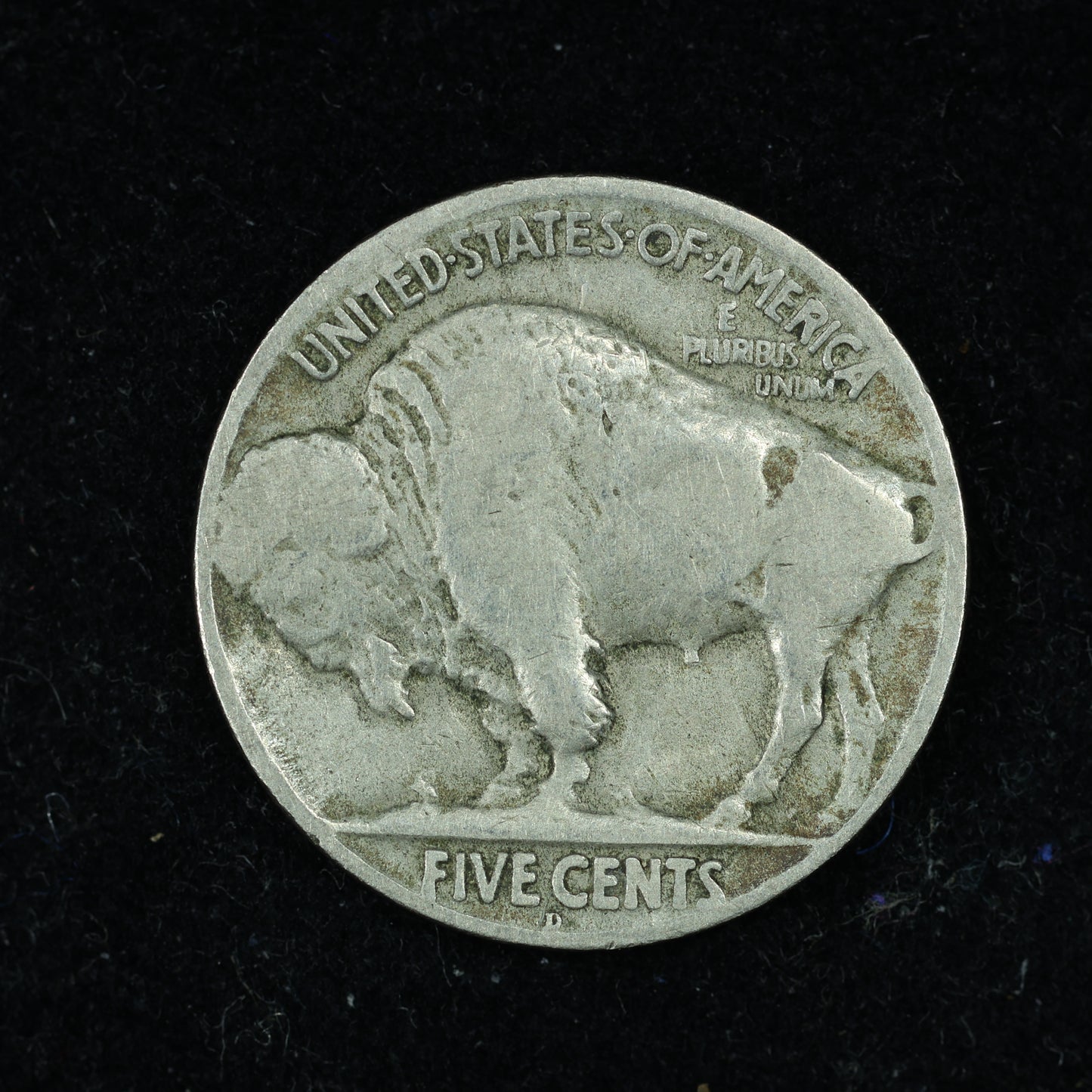 1919 D (Denver) Buffalo Nickel 5c