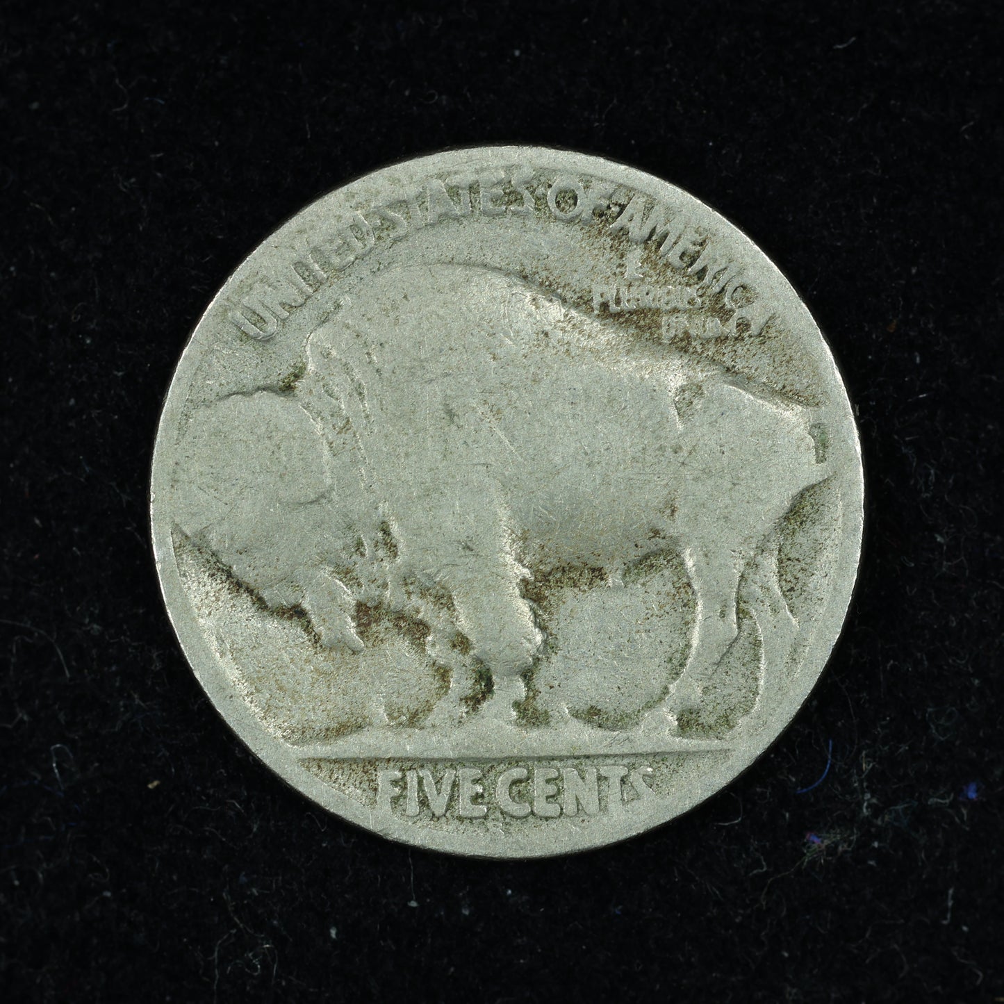 1919 S (San Francisco) Buffalo Nickel 5c