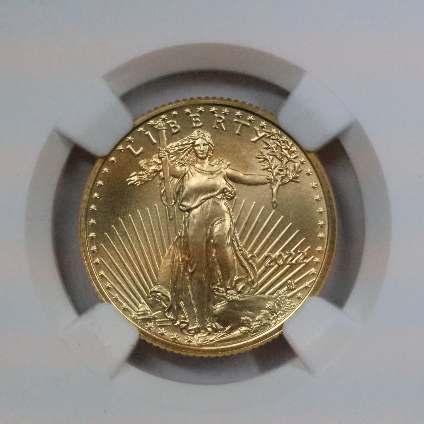 2022 $10 1/4 Oz Gold Eagle NGC MS70 Early Releases