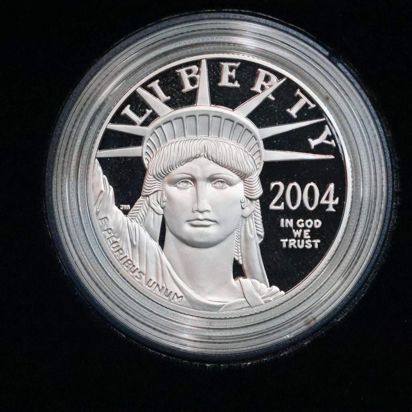 2004 W American Platinum Eagle Proof 1 oz $100 - Coin in OGP