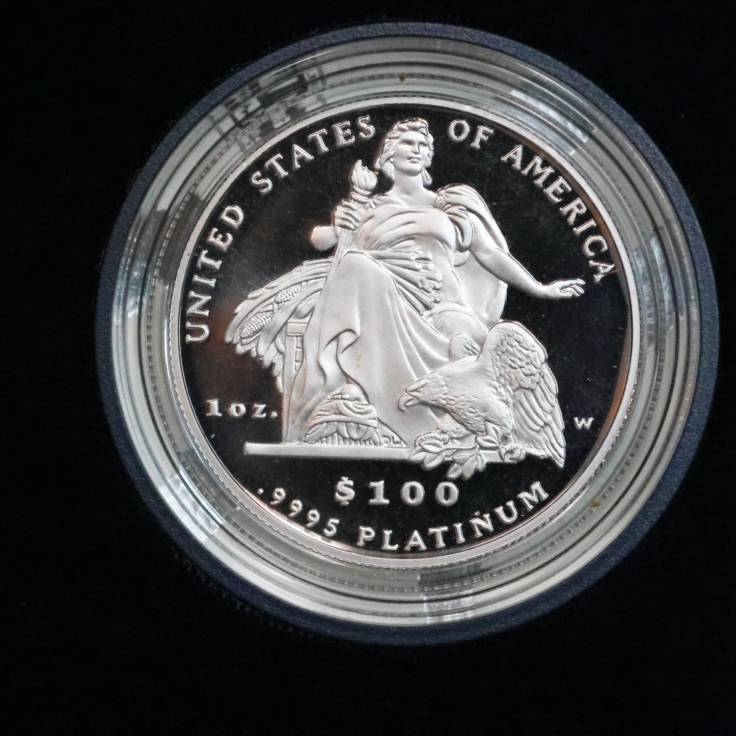 2004 W American Platinum Eagle Proof 1 oz $100 - Coin in OGP