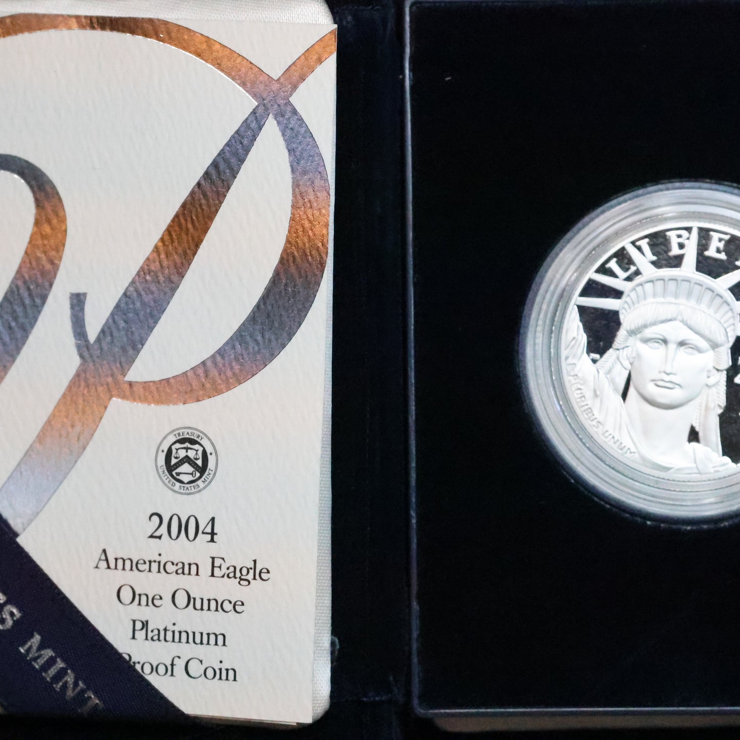 2004 W American Platinum Eagle Proof 1 oz $100 - Coin in OGP