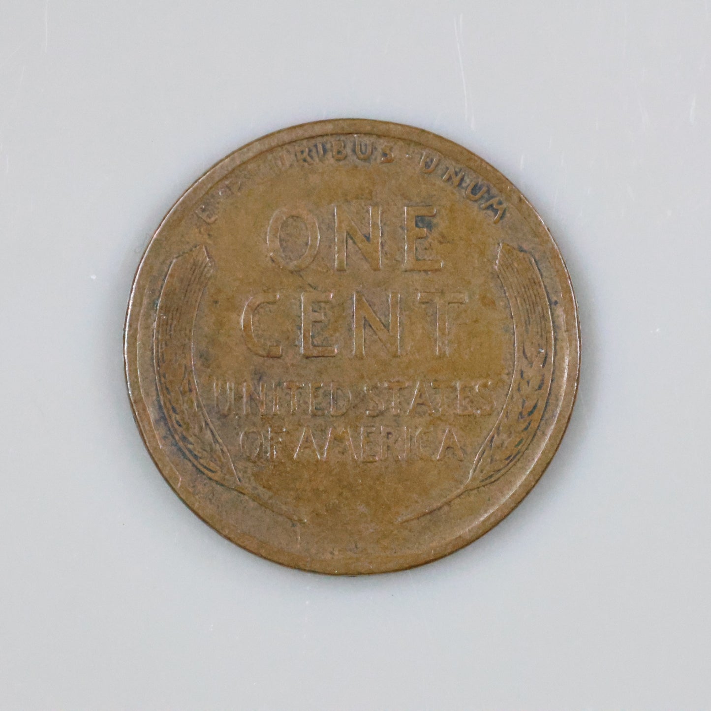 1909 VDB Lincoln Wheat Penny