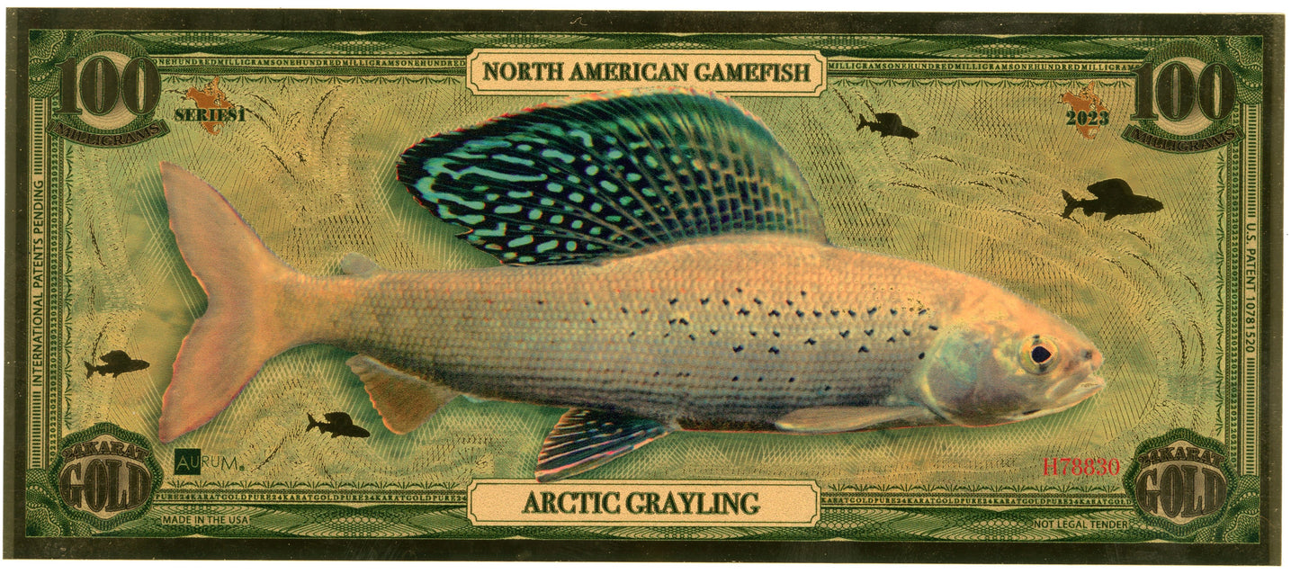 2023 North American Game Fish - Arctic Grayling 100 mg Gold Foil Aurum Note #H78830