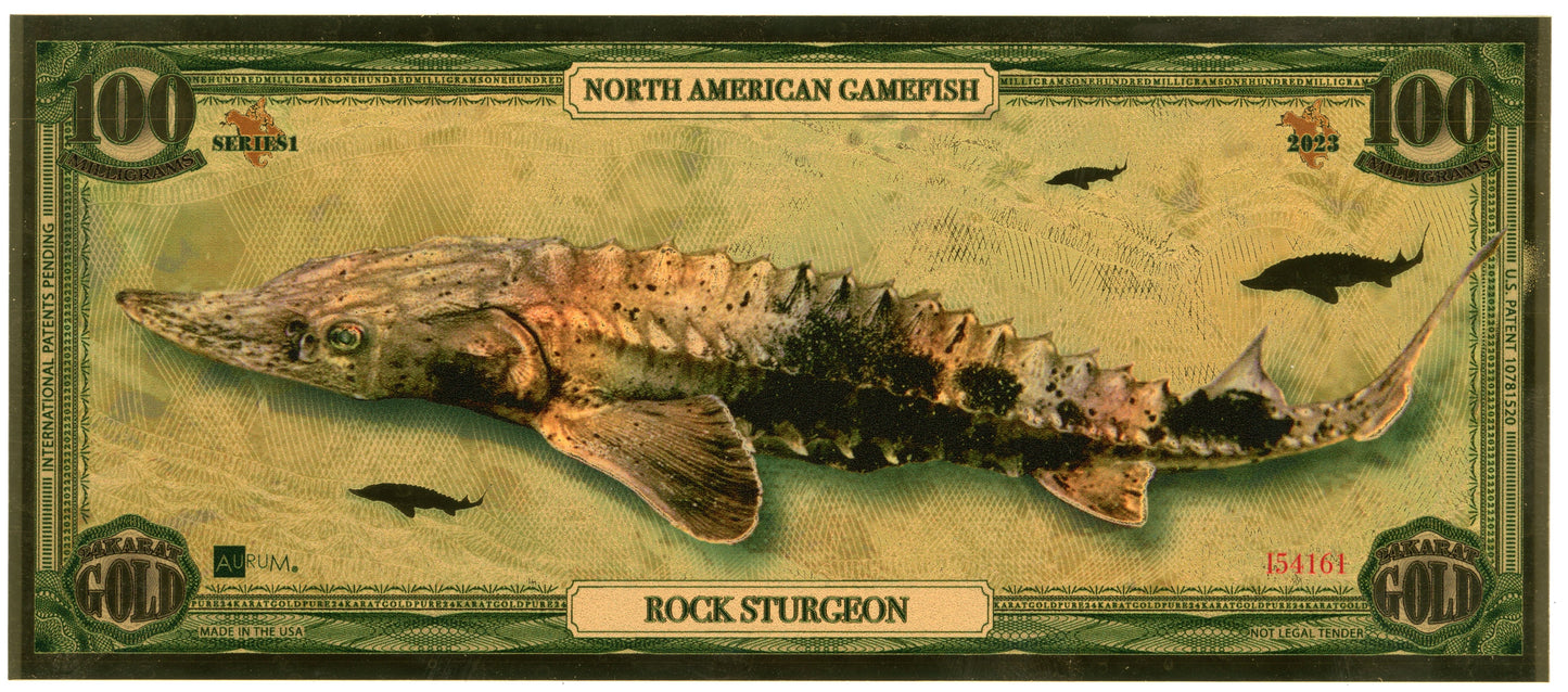 2023 North American Game Fish - Rock Sturgeon 100 mg Gold Foil Aurum Note #154161