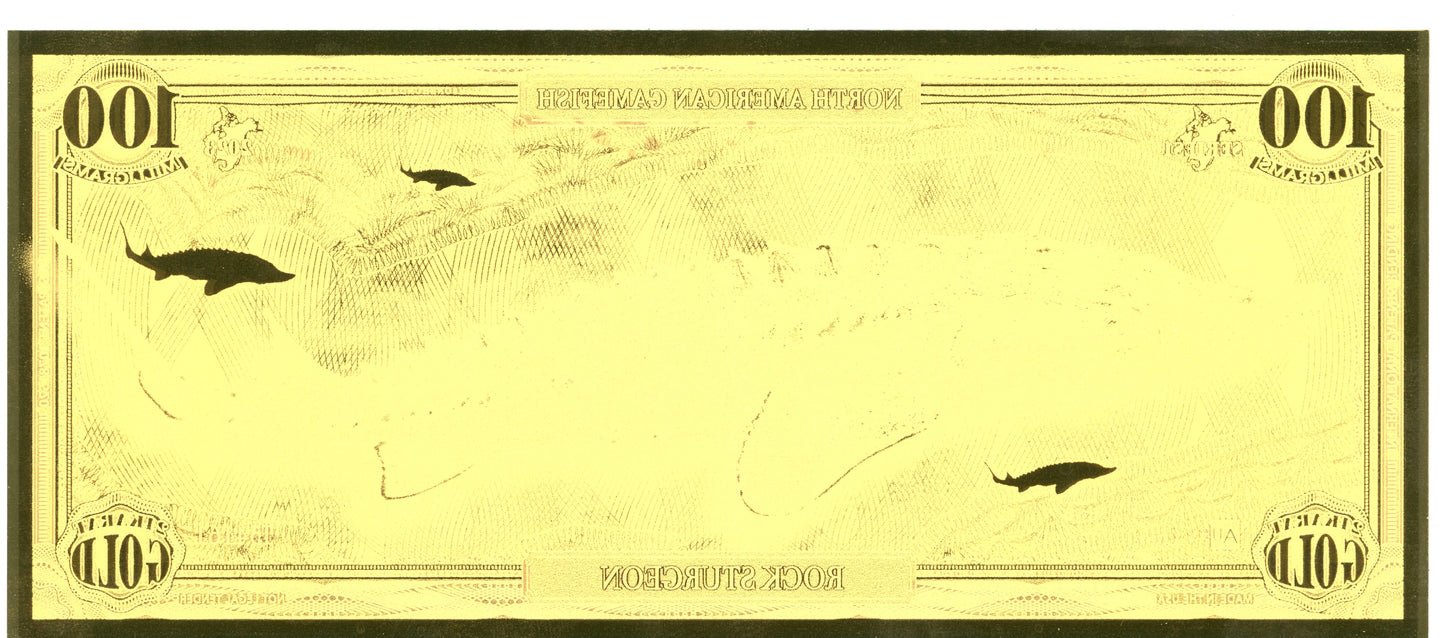 2023 North American Game Fish - Rock Sturgeon 100 mg Gold Foil Aurum Note #154161