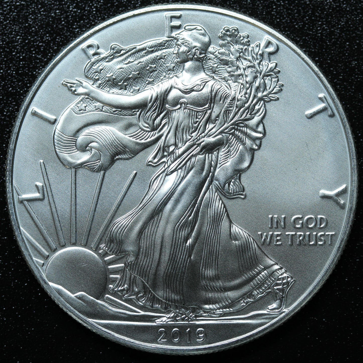 2019 American Silver Eagle $1 .999 Fine Silver Coin BU