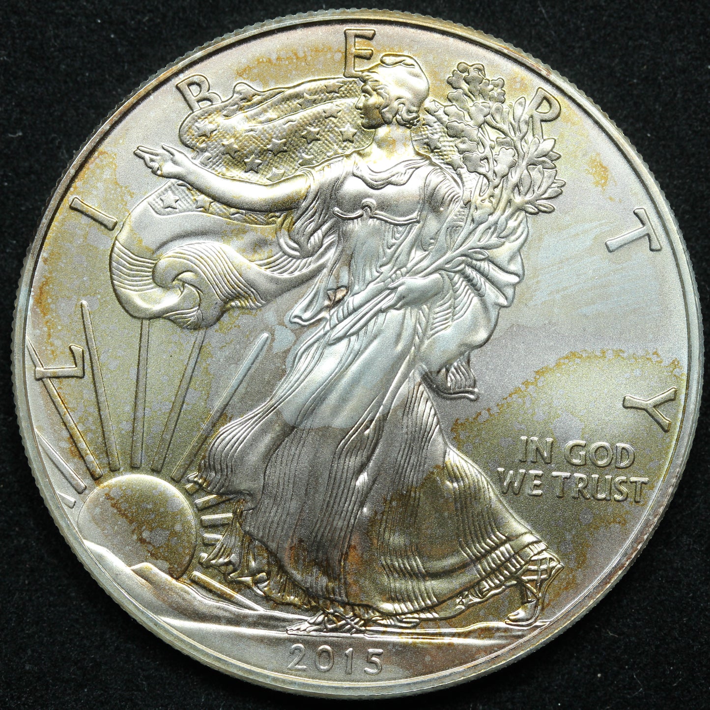 2015 American Silver Eagle $1 Bullion Coin .999 - Some toning