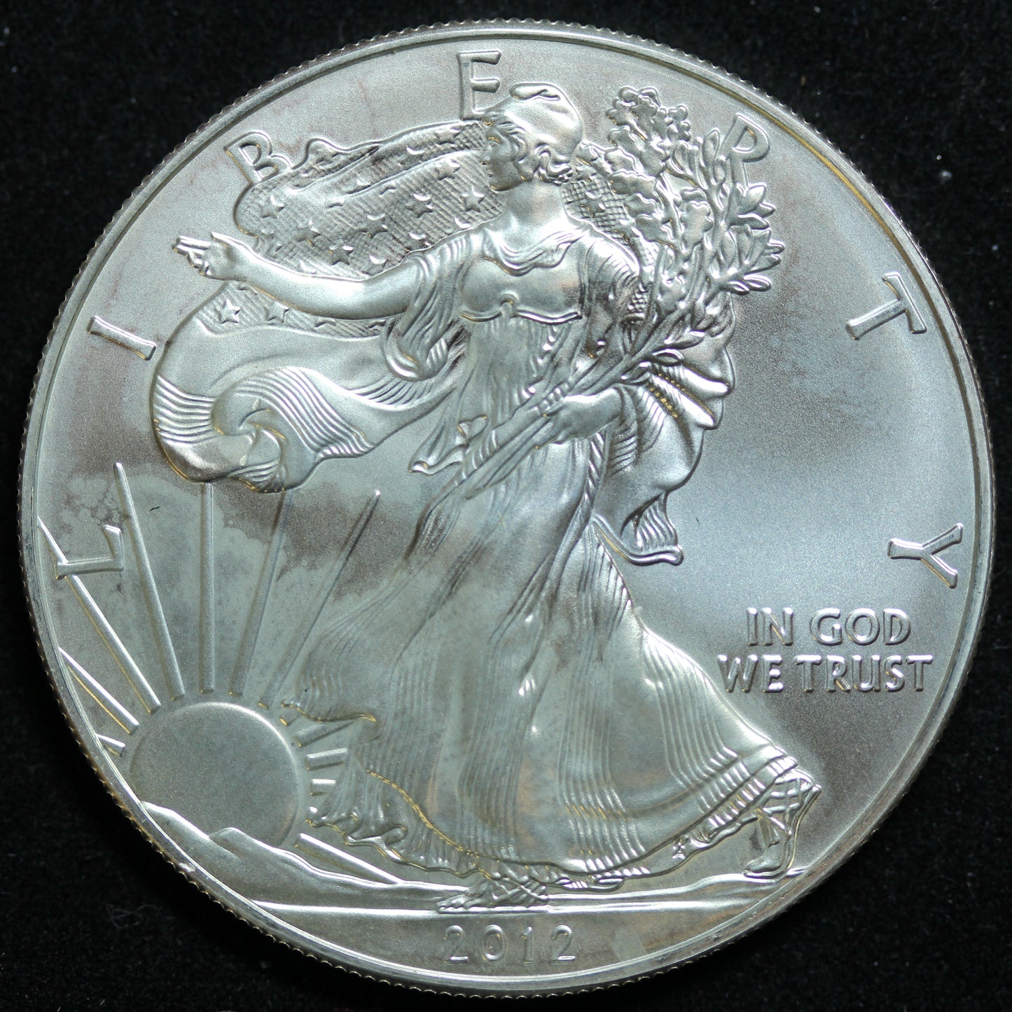2012 American Silver Eagle 1 oz .999 Fine Silver Coin Marks/Spots
