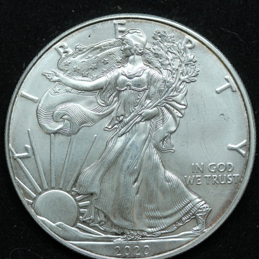 2020 American Silver Eagle $1 .999 Fine Silver Coin Marks/Spots