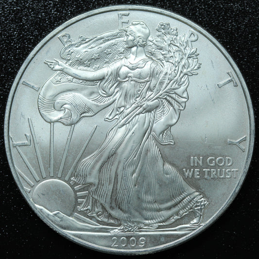 2009 American Silver Eagle $1 .999 Fine Silver Coin Marks/Spots