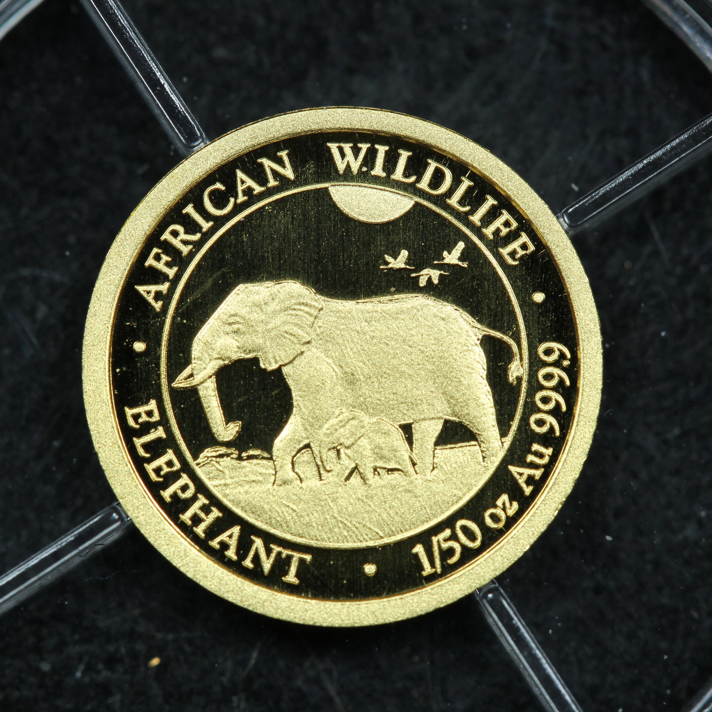 2022 1/50 oz .9999 Fine Gold Somalia 20 Shillings African Wildlife Elephant w/ Capsule