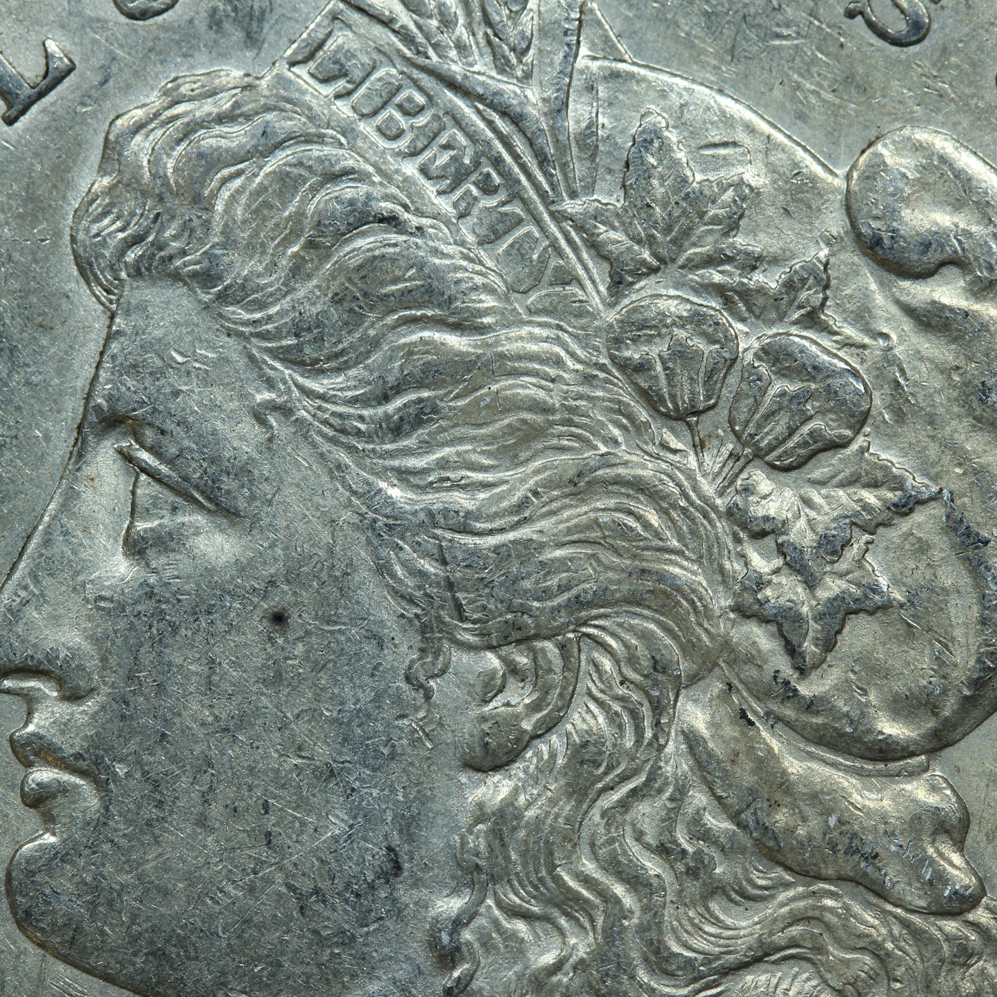 1878 7TF Rev 79 Morgan Silver Dollar