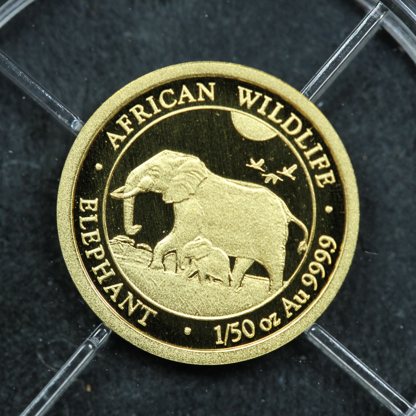 2022 1/50 oz .9999 Fine Gold Somalia 20 Shillings African Wildlife Elephant w/ Capsule (#2)