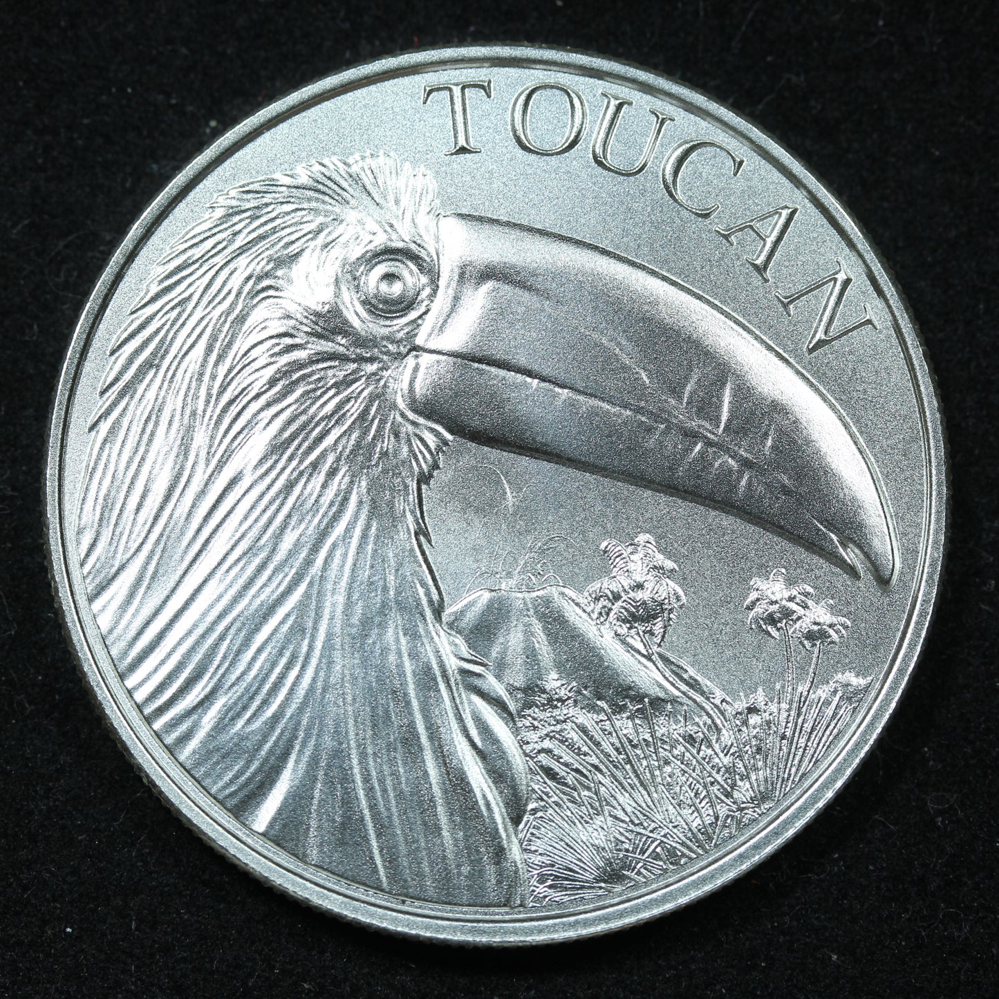 1 oz .999 Fine Silver Round - Intaglio Mint The Toucan In Capsule