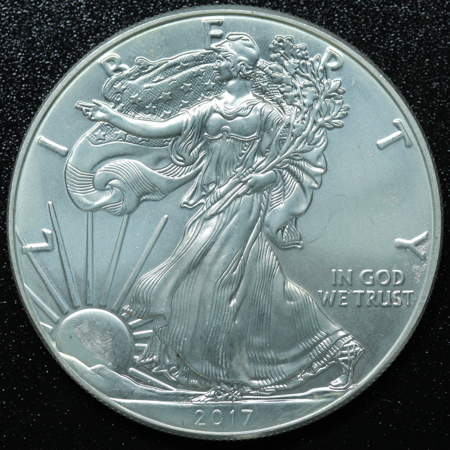 2017 American Silver Eagle $1 .999 Fine Silver Coin Marks/Spots