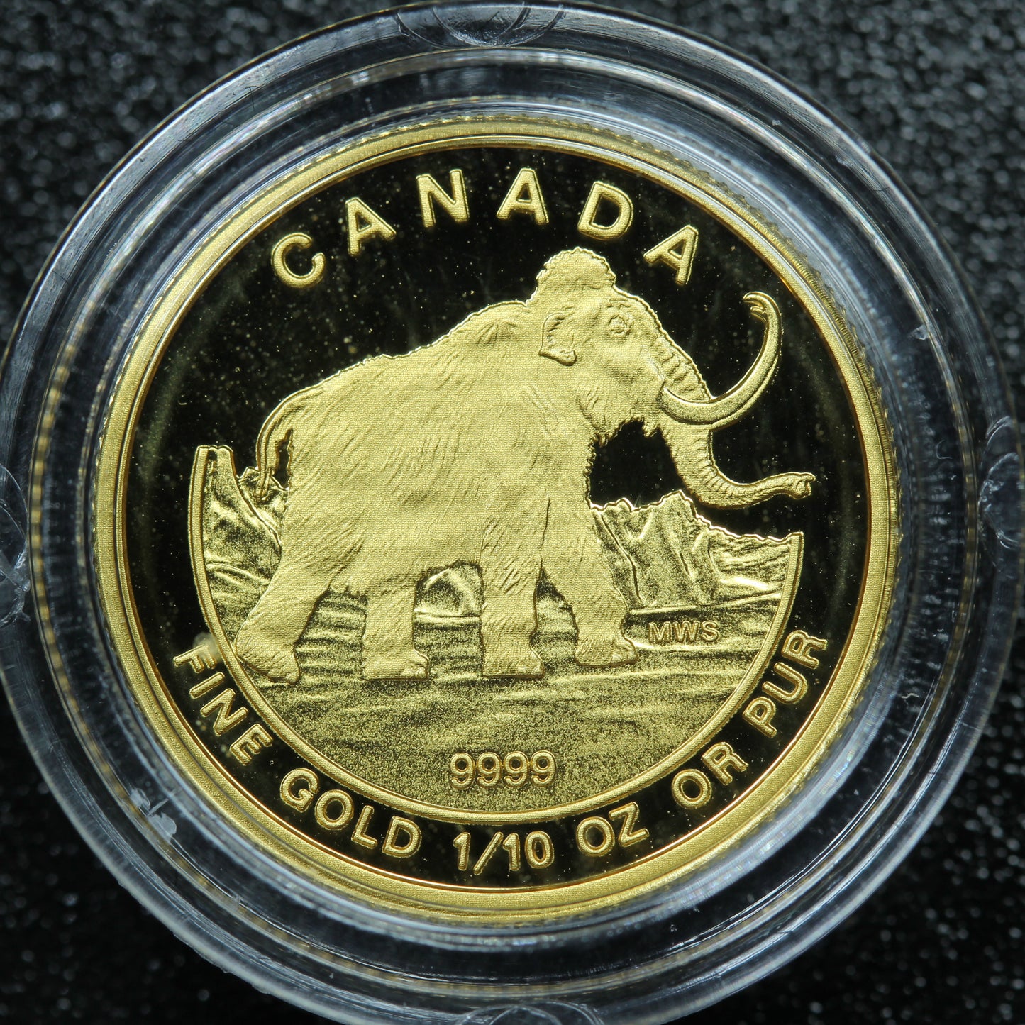 2014 $5 .9999 Fine Gold RCM Woolly Mammoth 1/10 Oz Proof Coin w/ Box & COA