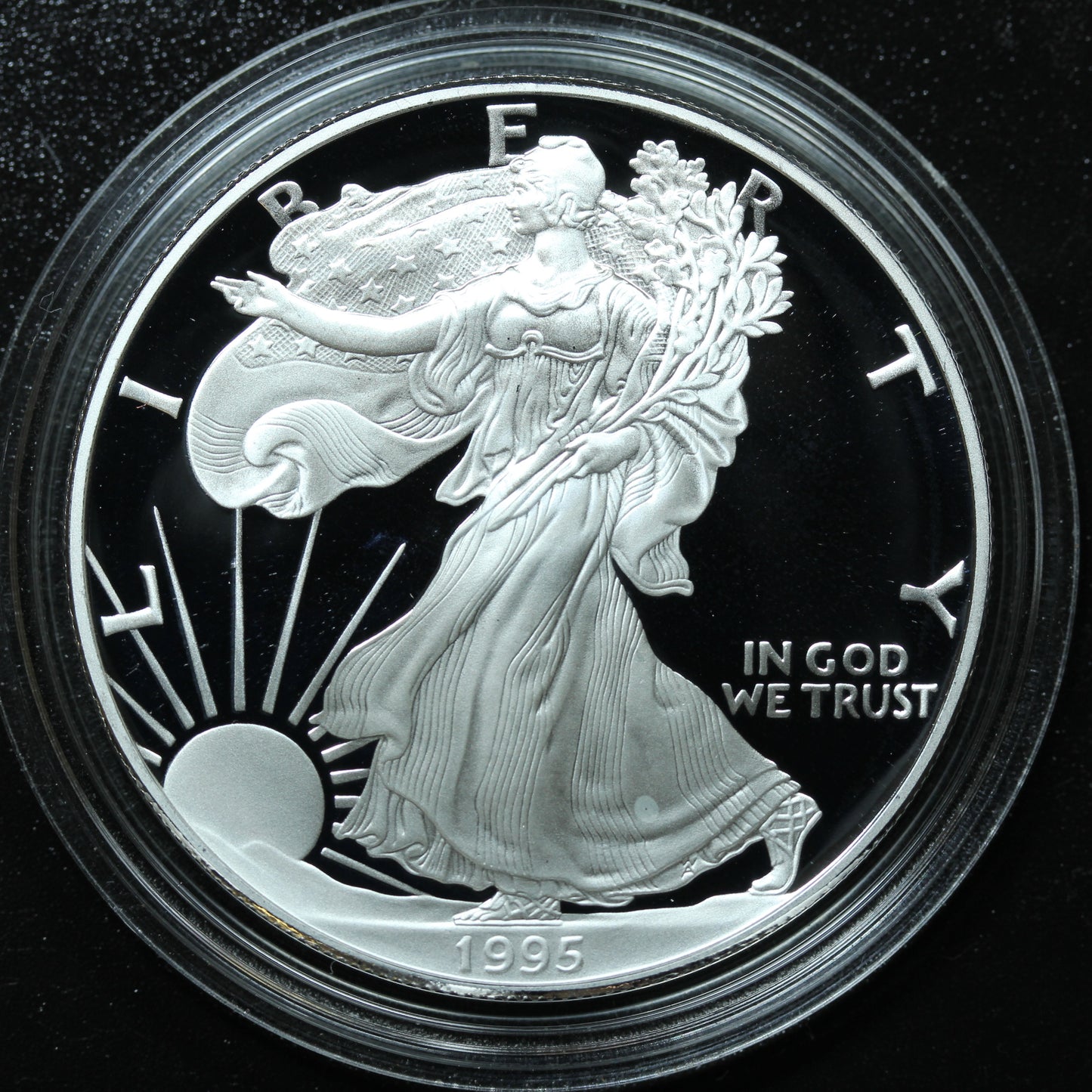 1995 P Proof Silver American Eagle 1 oz Coin Only w/ Capsule