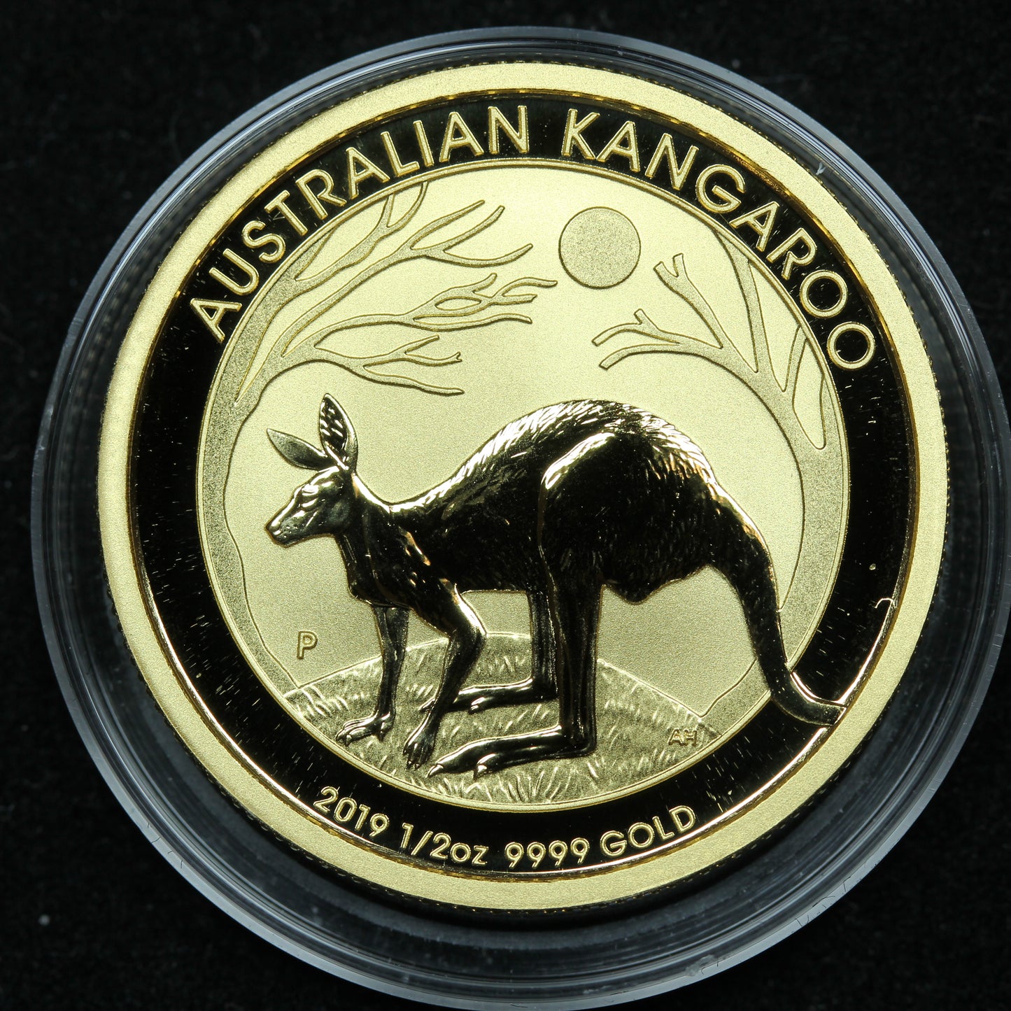 2019 Australian 1/2 oz Gold Kangaroo $50 .9999 Fine Bullion Coin
