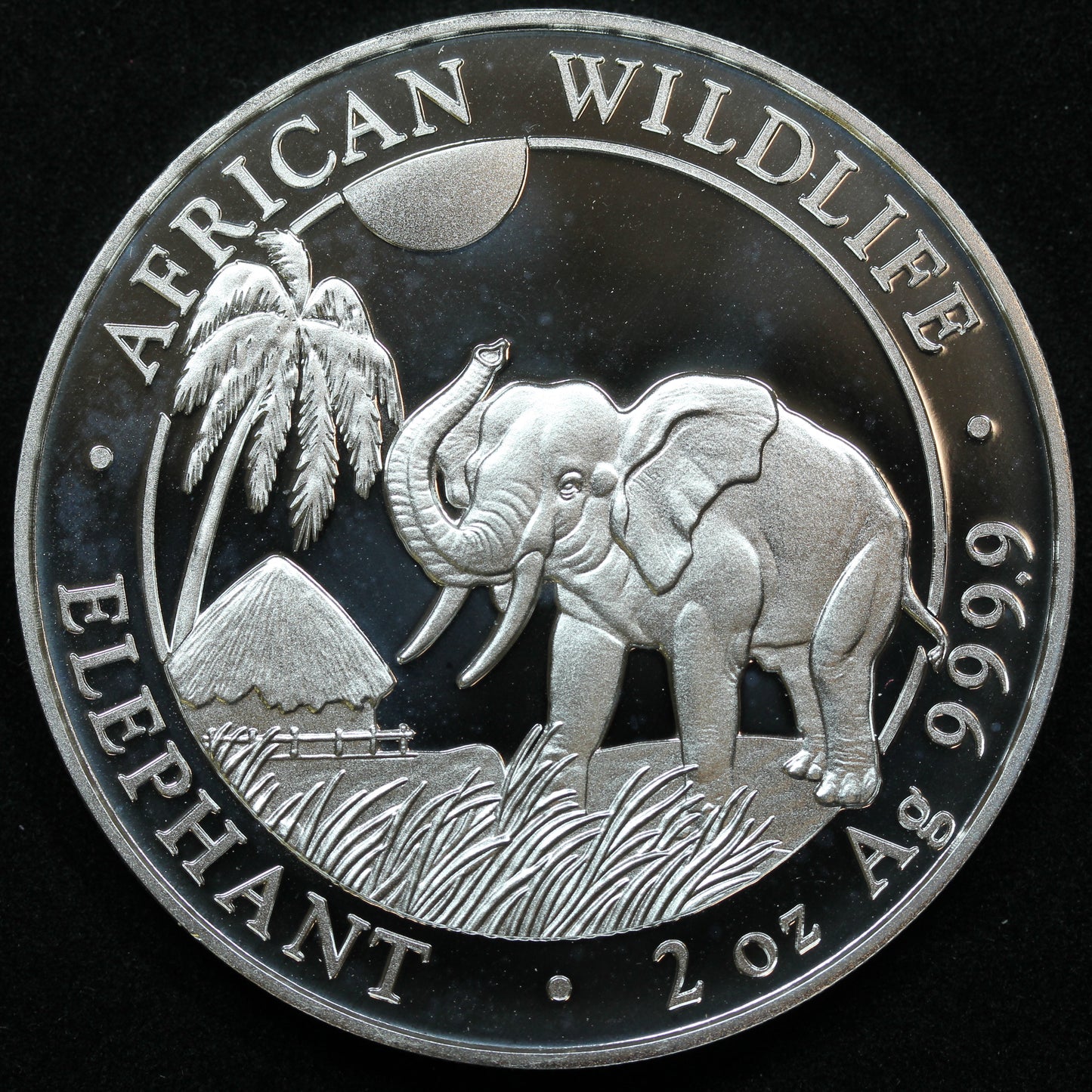 2017 2 oz .9999 Fine Somalia 200 Shillings African Wildlife Elephant w/ Capsule