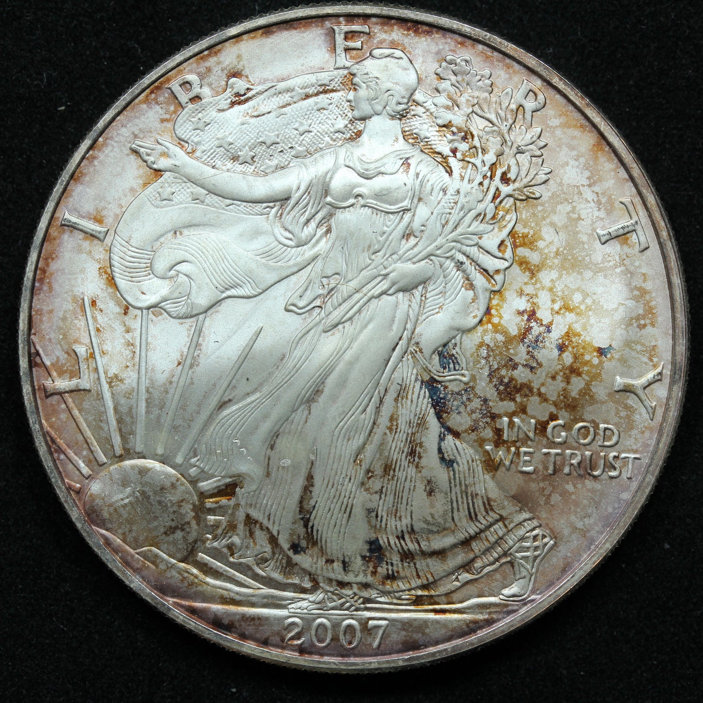 2007 American Silver Eagle $1 Bullion Coin .999 - Crazy Toning!