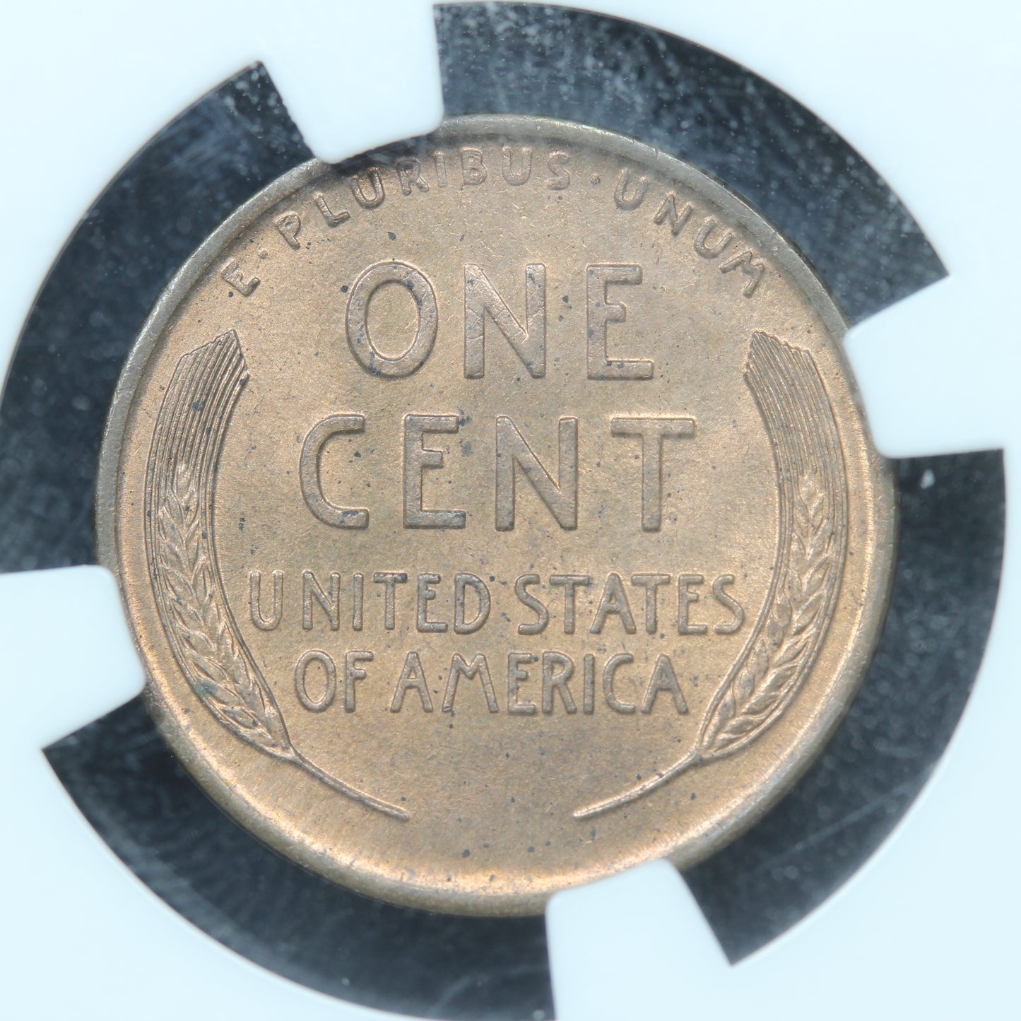 1911 D (Denver) 1C Lincoln Cent Wheat Penny - NGC MS 64 RB